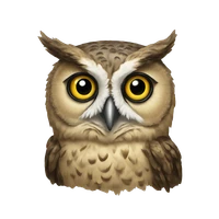 Sergio's profile picture