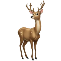 Shuisheng Bai's profile picture