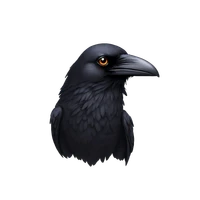 raven's profile picture