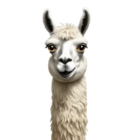 Jen Agarwal's profile picture