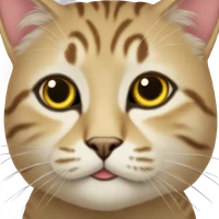 安楠's profile picture