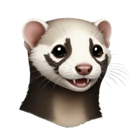 Reghuram Karunamurthi's profile picture