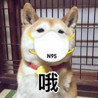 Hoga's profile picture